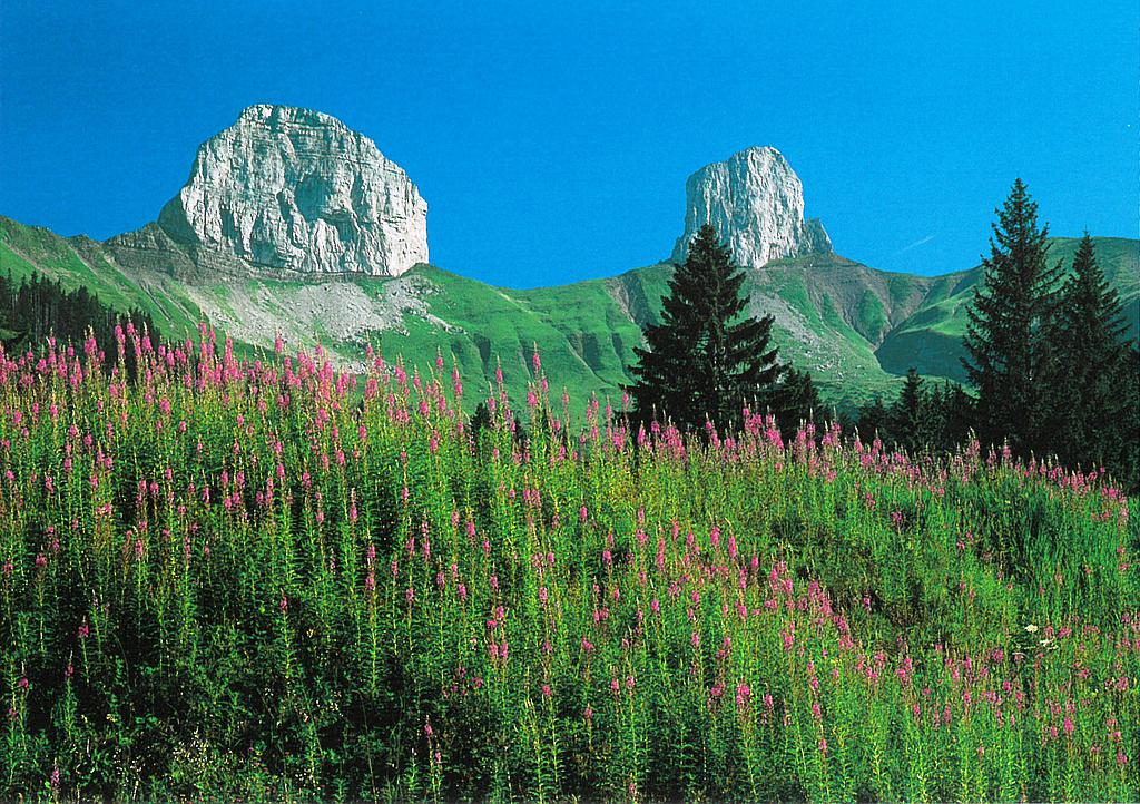 Postcards 18996 Les tours d'Ai (Leysin)