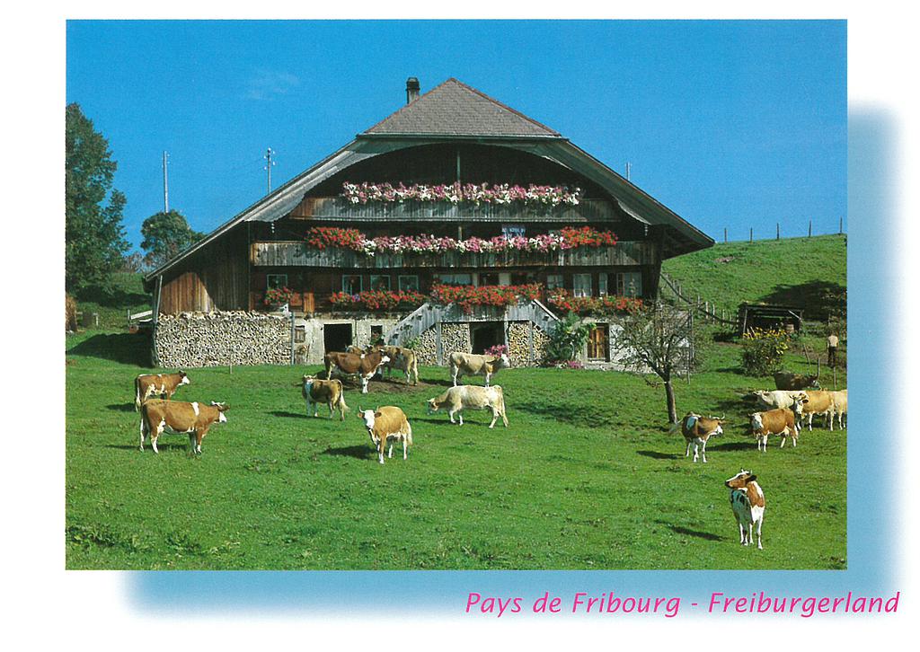 Postcards 04002 Sensler Bauernhaus