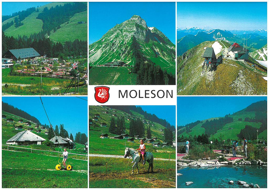 Postcards 03308 Moléson