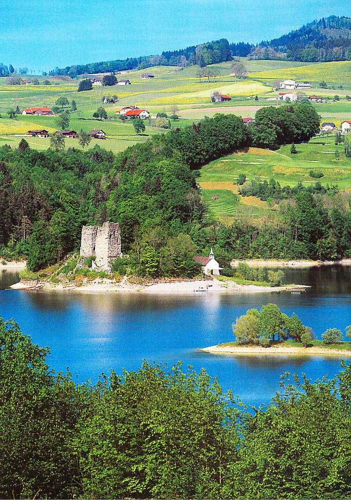 Postcards 03915 Lac de Gruyère, île d'Ogoz