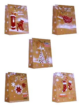 Série 10 sacs-cadeaux M Noël 3.90 
