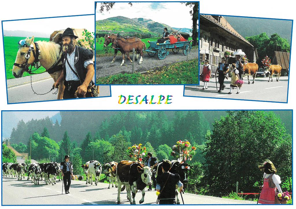 Postcards 00254 Désalpe, tradition fribourgeoise