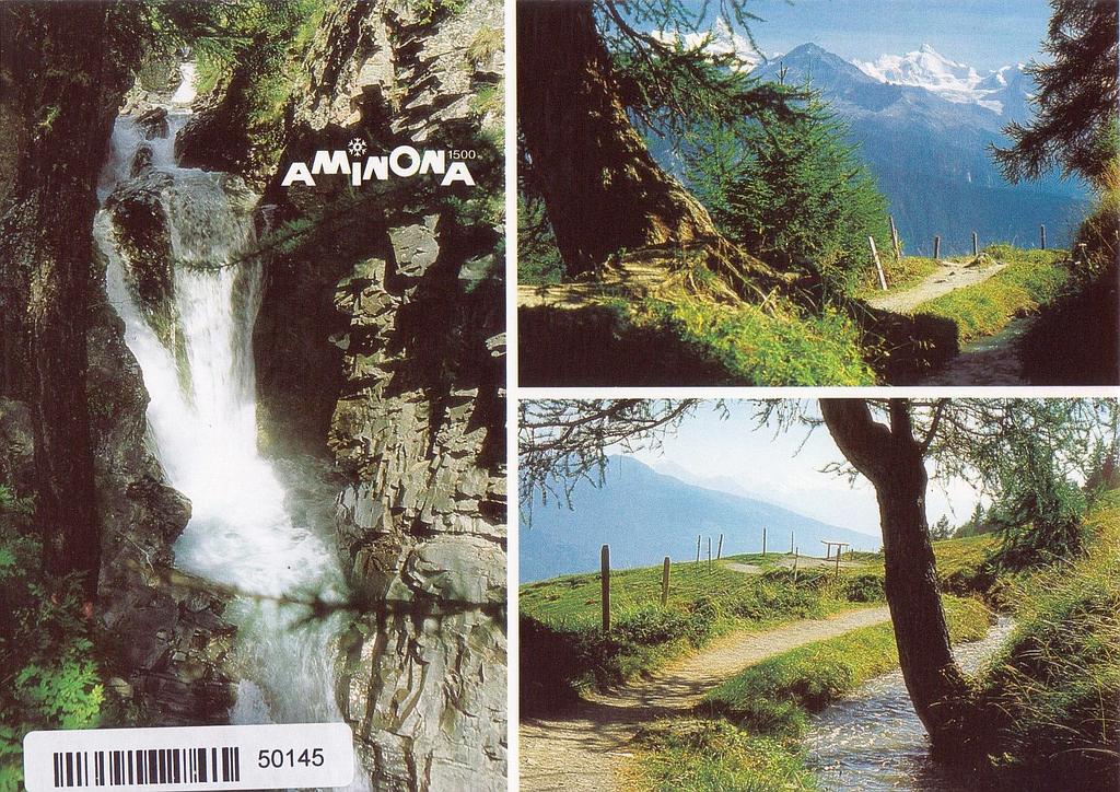 Postcards 50145 Crans-Montana, Aminona