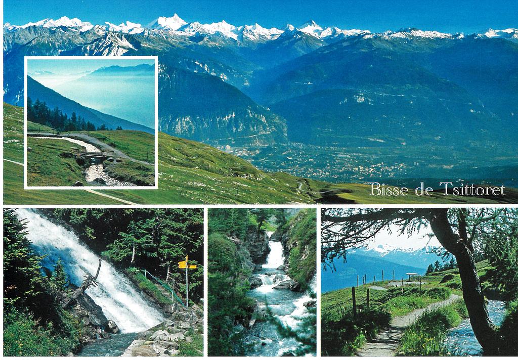 Postcards 50174 Crans-Montana bisse de Tsittoret 