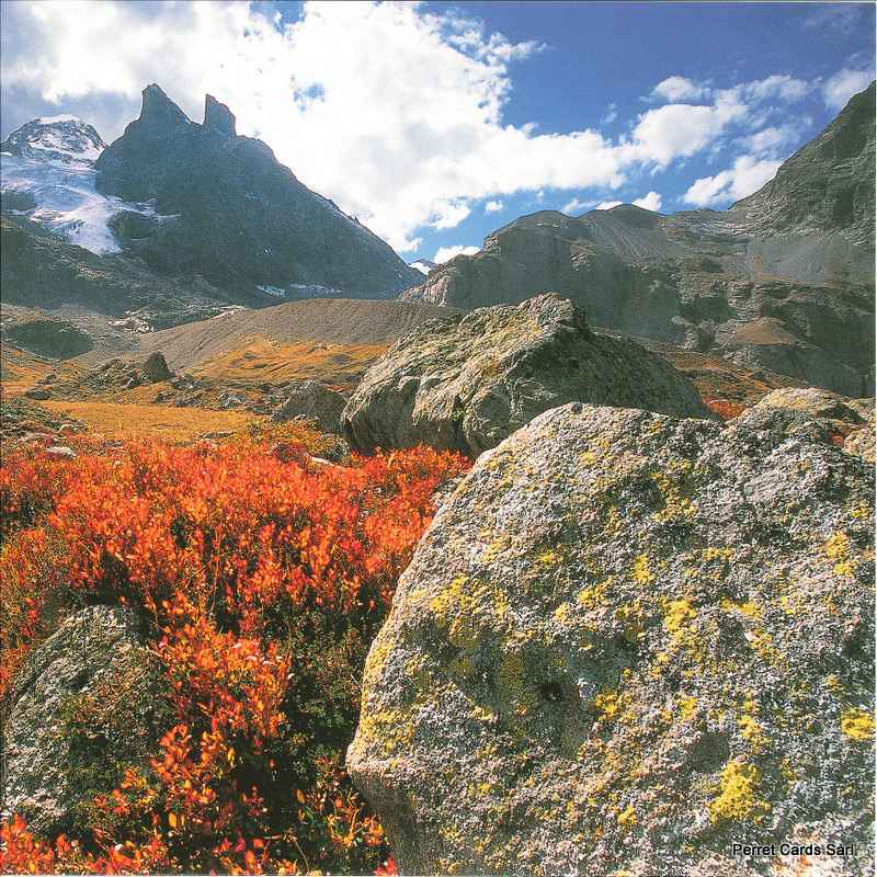 Postcards 14,8x14,8cm 51093 Aletsch