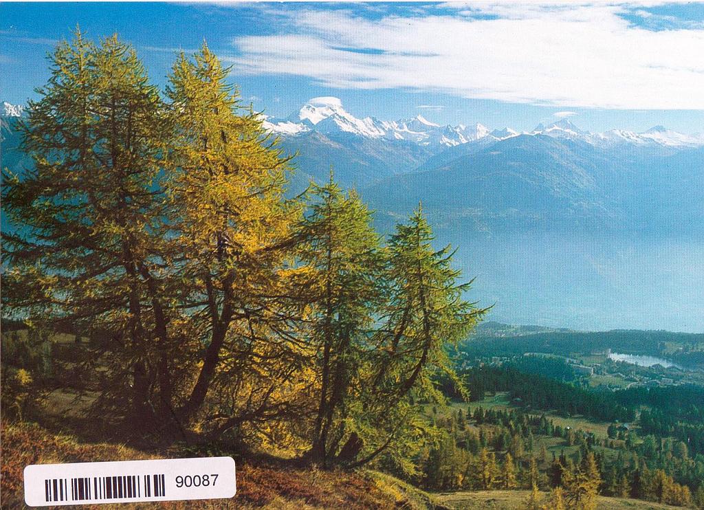Postcards 90087 Valais Wallis