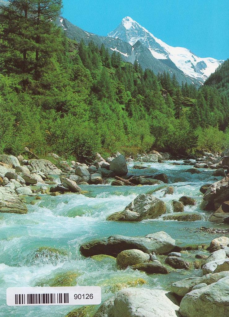 Postcards 90126 Valais Wallis