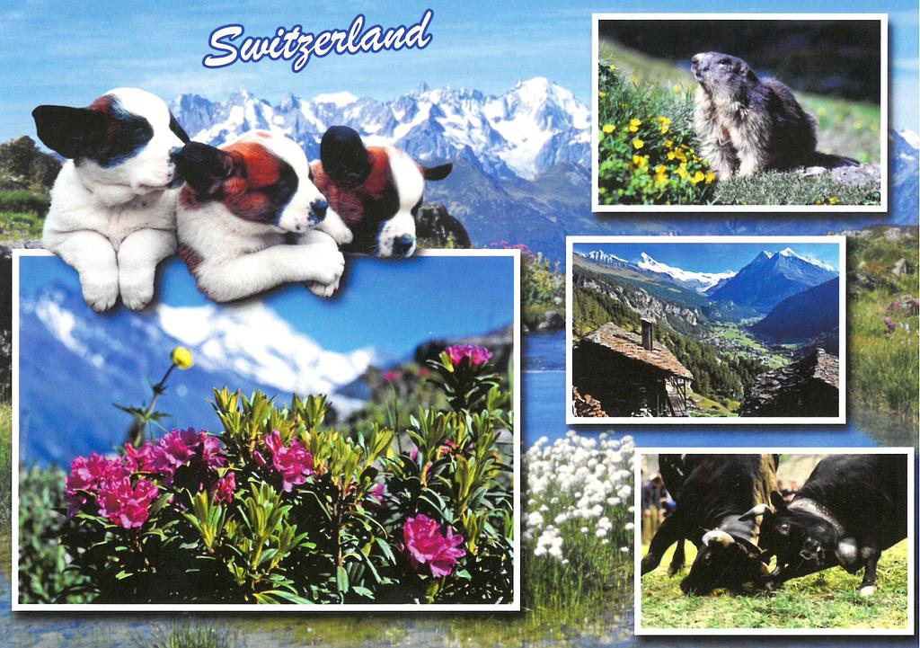 Postcards 90169 Switzerland