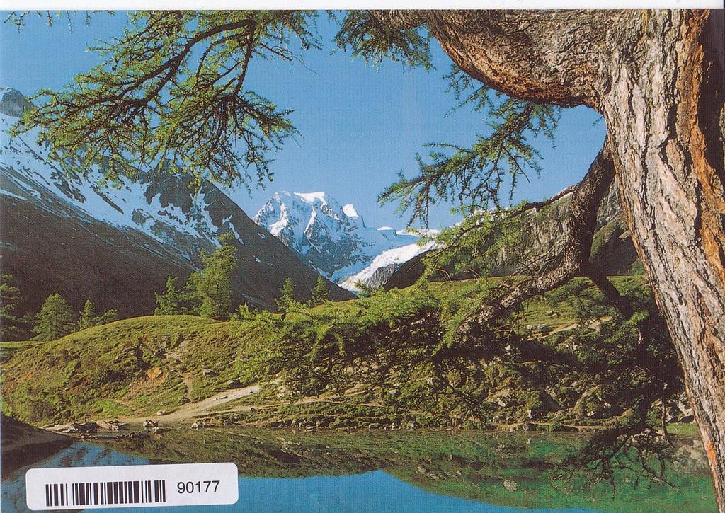 Postcards 90177 Valais Wallis