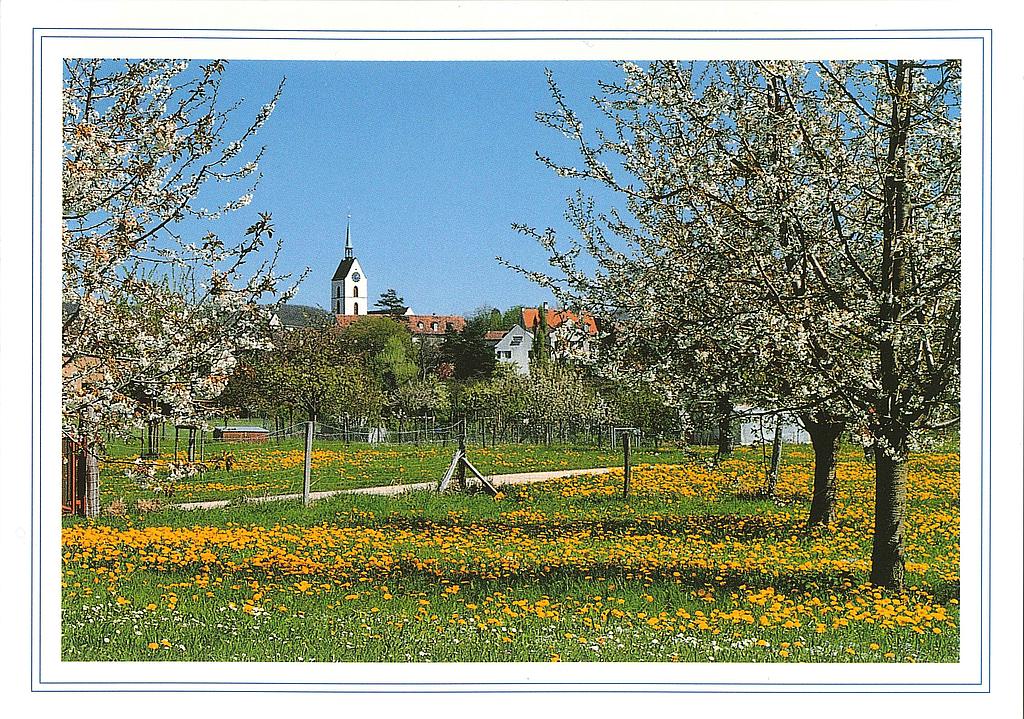 Postcards 18496 Riehen