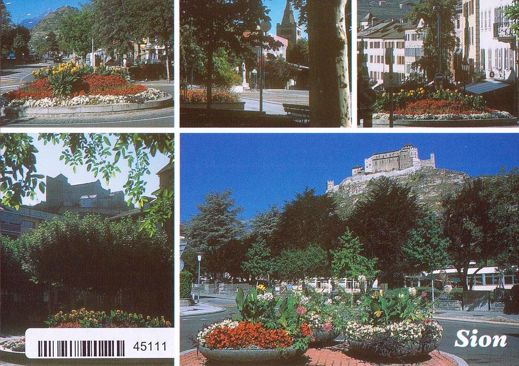 Postcards 45111 Sion