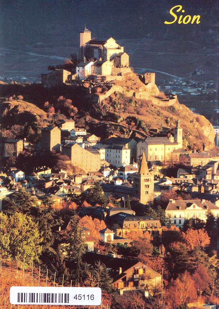 Postcards 45116 Sion la nuit