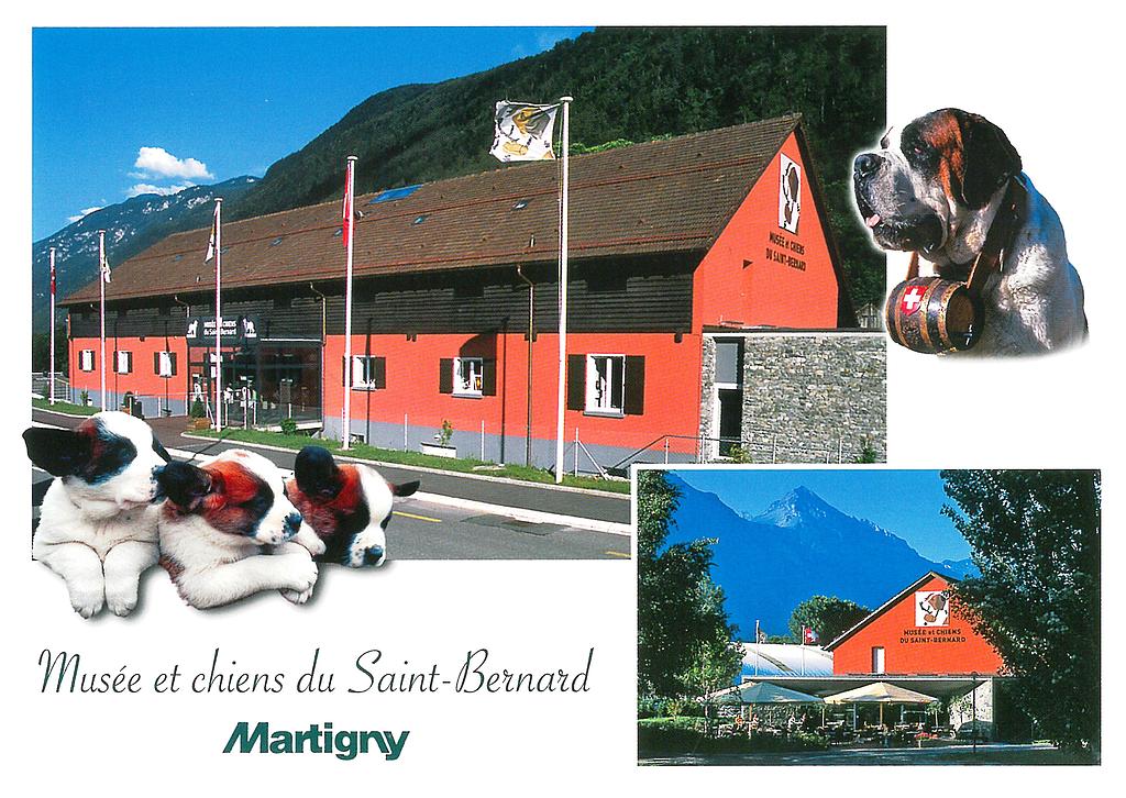 Postcards 30109 Martigny, musée et chiens du St-Bernard
