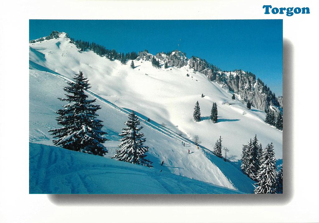 Postcards 18536 w Torgon