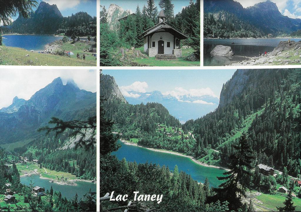 Postcards 21021 Lac de Tanay (Vouvry VS)