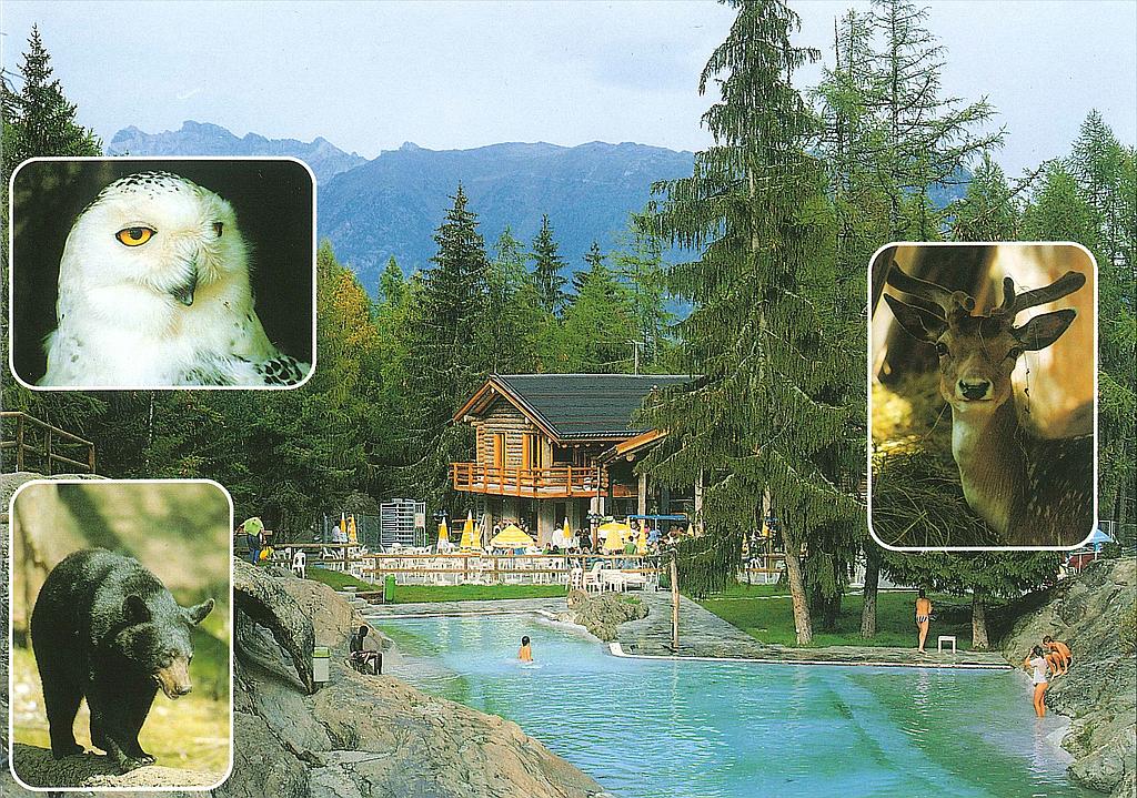 Postcards 28029 Piscine et zoo des Marécottes