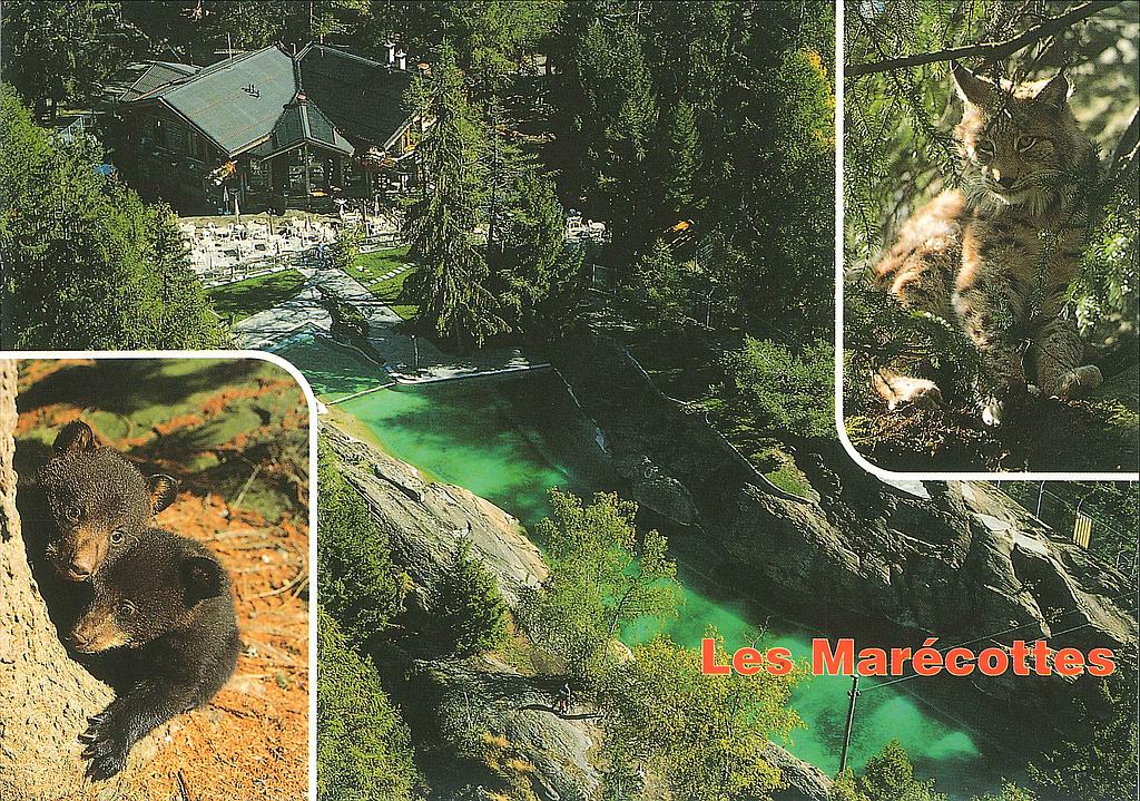 Postcards 28032 Piscine et zoo des Marécottes