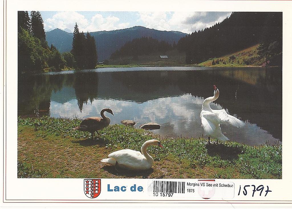 Postcards 15797 Morgins, lac