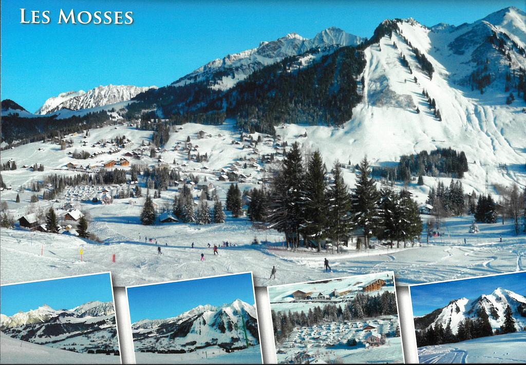 Postcards 29186w Les Mosses