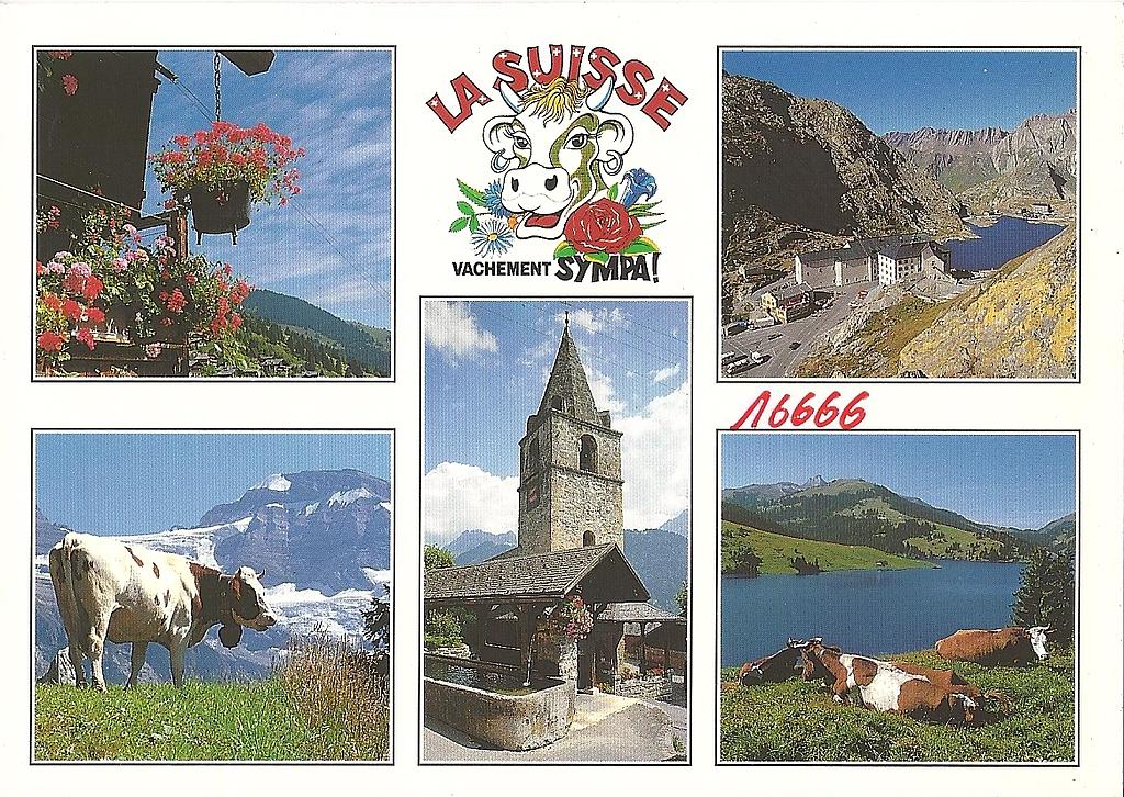 Postcards 16666 Morgins (La Suisse vachement sympa) 