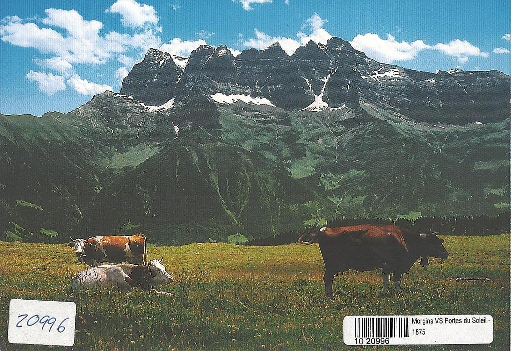 Postcards 20996 Morgins