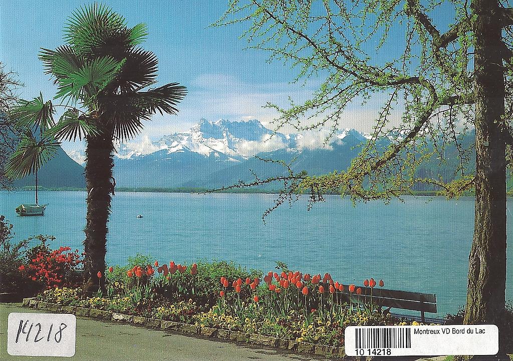 Postcards 14218 Montreux - Bord du Lac