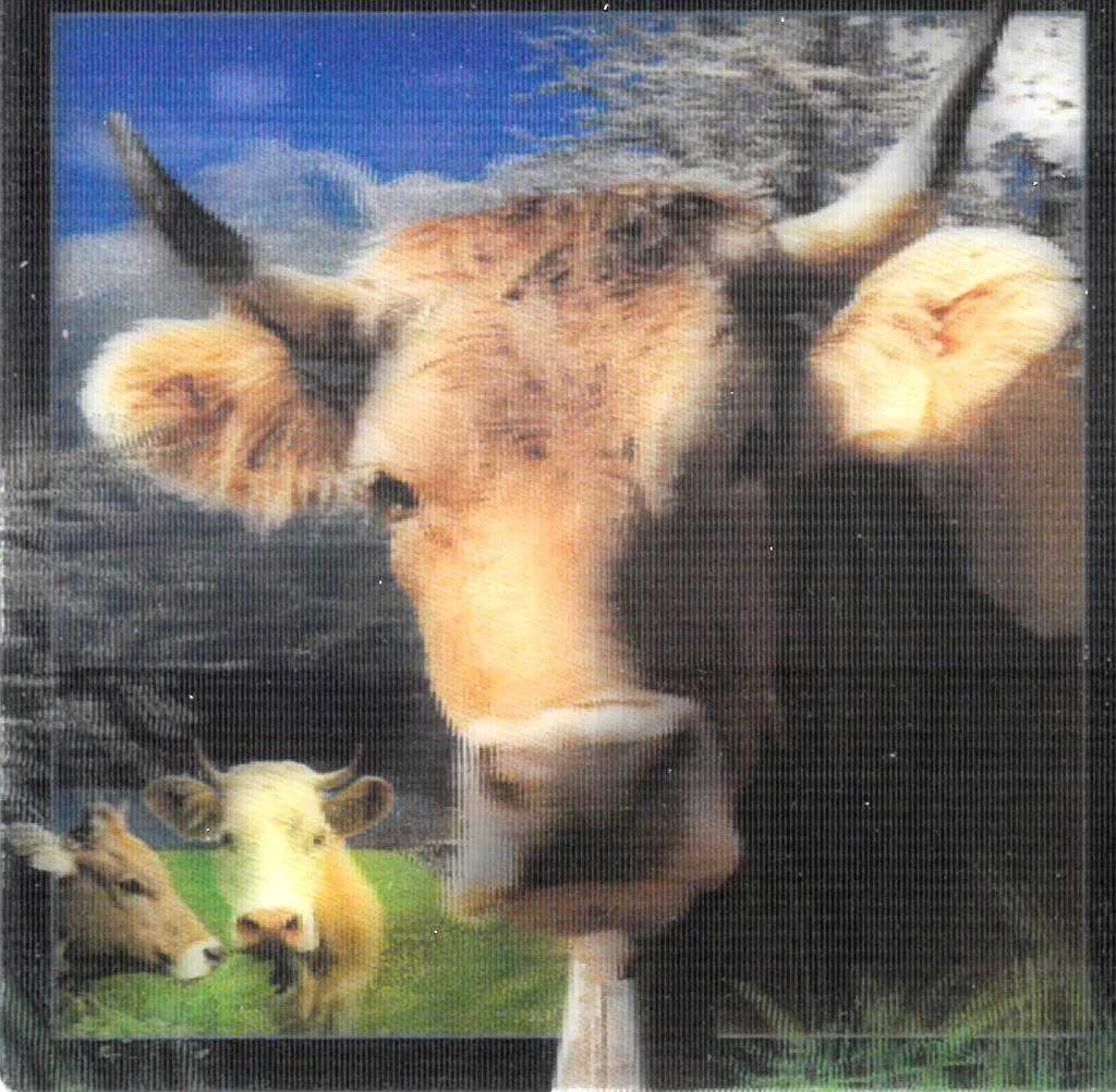 Aimant Vache Suisse 3D