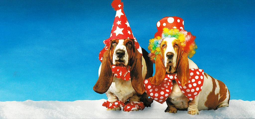 Postcards Pano 01157 Hunde als Clowns