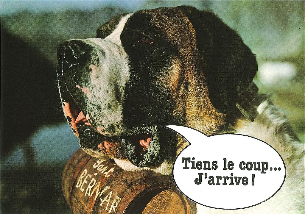 Postcards 16683 St-Bernard 'Tiens le coup... J'arrive'
