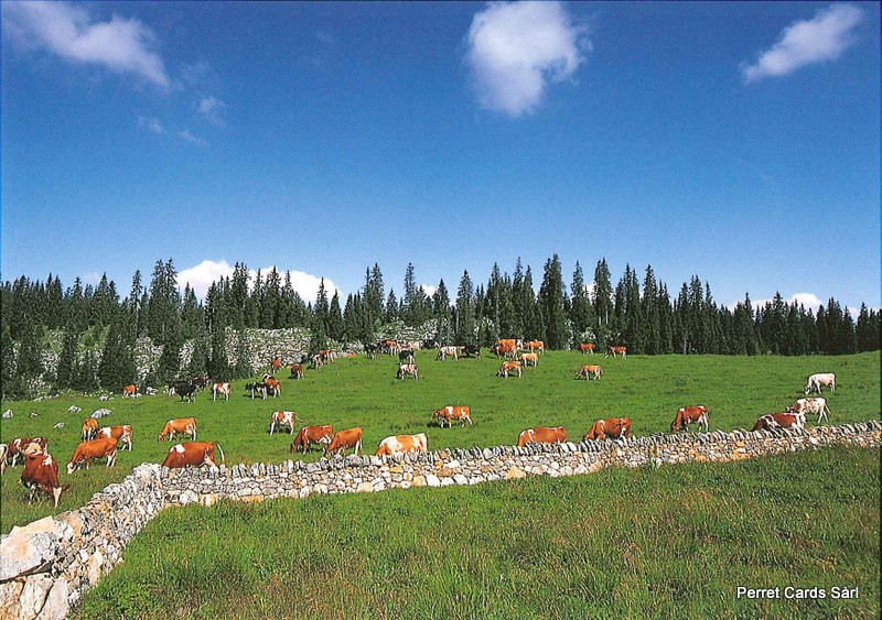 Postcards 25115 Col du Marchairuz