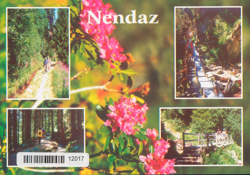 Postcards 12017 Nendaz, bisse Vieux