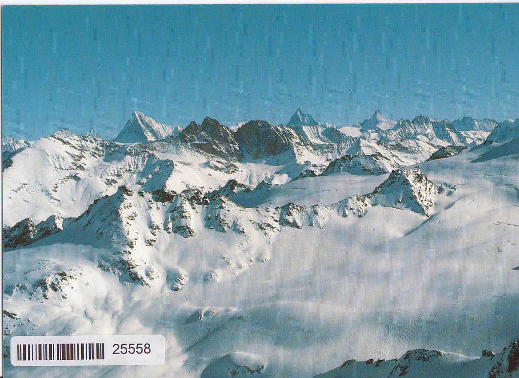 Postcards 25558 w Panorama du Mont Fort