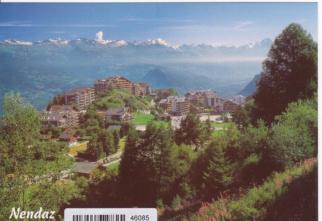 Postcards 46085 Nendaz