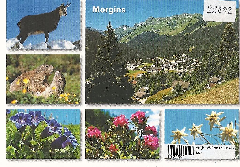 Postcards 22592 Morgins
