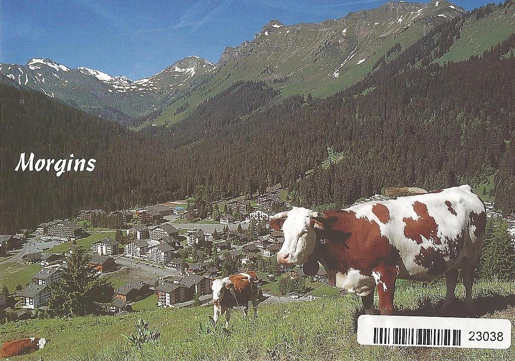 Postcards 23038 Morgins