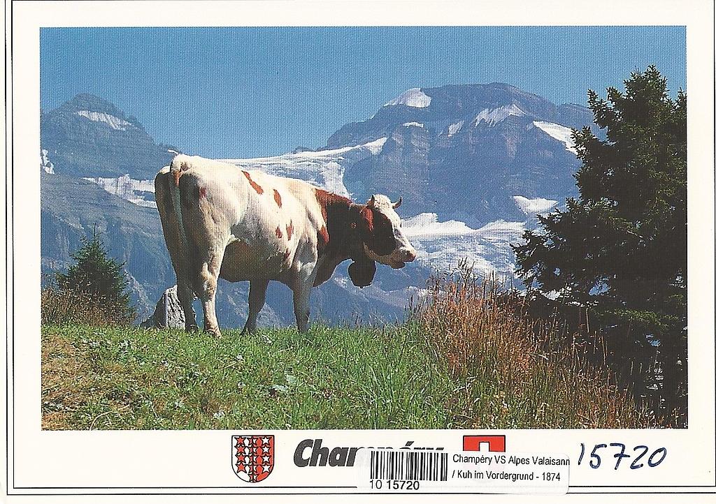 Postcards 15720 Champéry