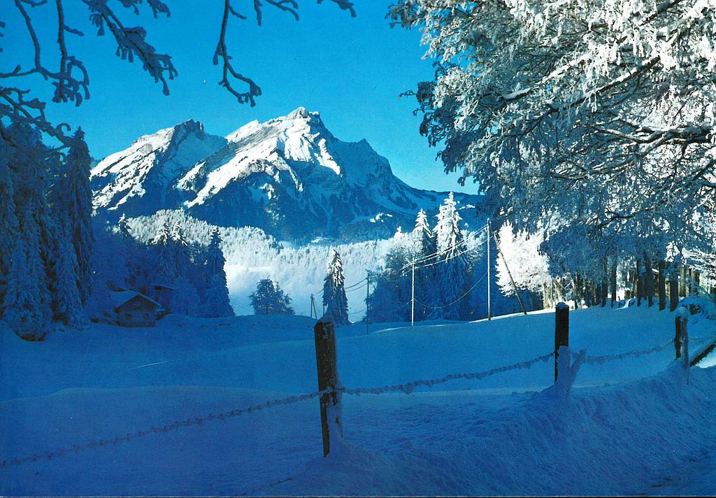 Postcards 07000 w Winter in der Schweiz, Pitalus