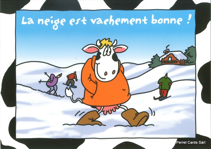 Postcards 24694 w Vache (La neige est vachement bonne)
