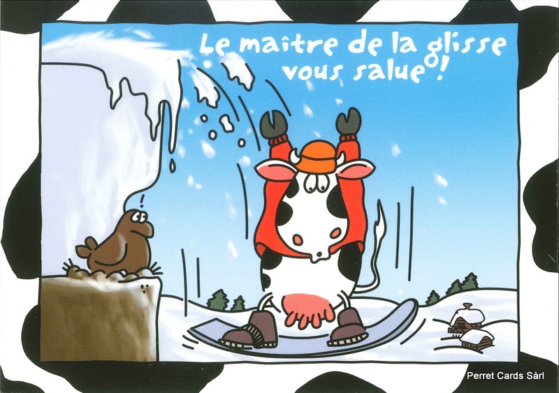 Postcards 24709 w Vaches (Le maître de la glisse vous salue !)