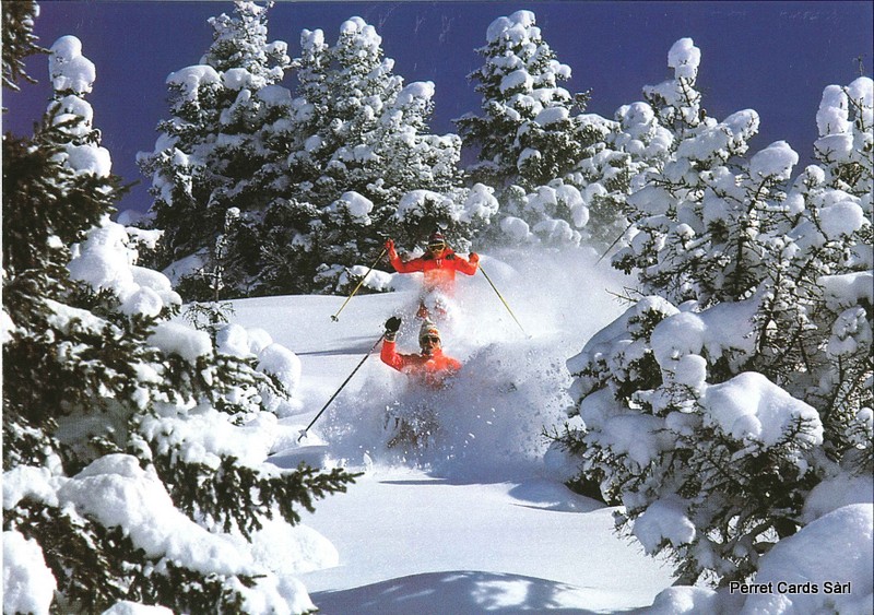 Postcards11236 w Ski sauvage