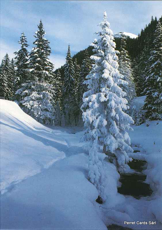 Postcards13156 w Paysage d'hiver