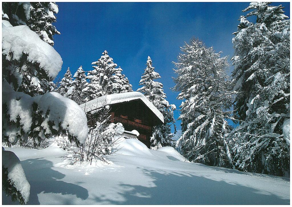 Postcards 19085 w Paysage d'hiver, chalet