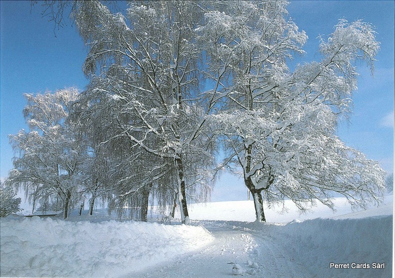 Postcards 19098 w Paysage d'hiver