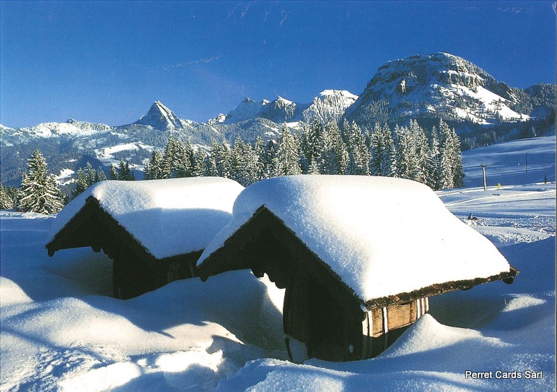 Postcards 19981 w Paysage d'hiver