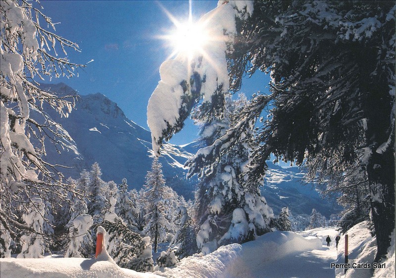 Postcards 21472 w Paysage d'hiver