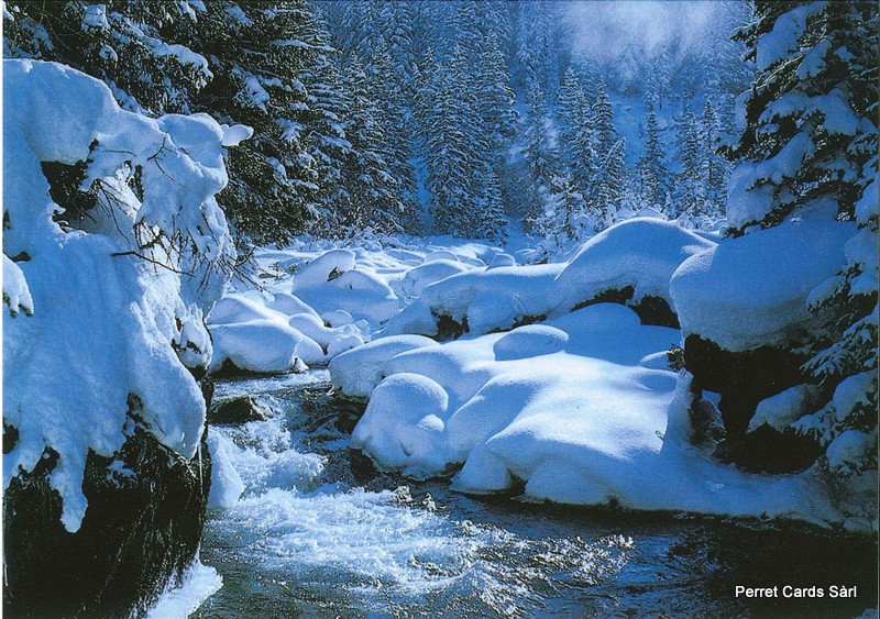 Postcards 91015 w Paysage d'hiver 