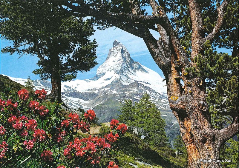 Postcards 06429 Matterhorn