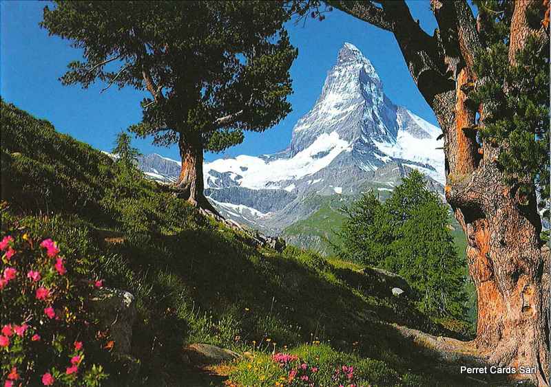 Postcards11513 Matterhorn