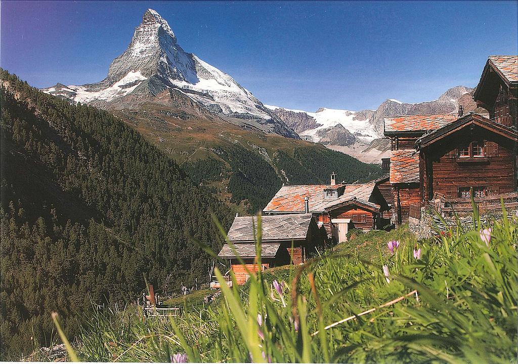 Postcards 25457 Zermatt (Findeln, Matterhorn)